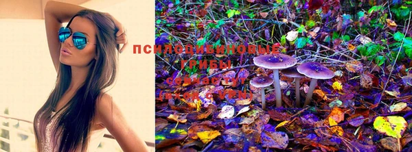 хмурый Медвежьегорск