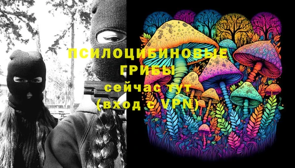 скорость Мегион