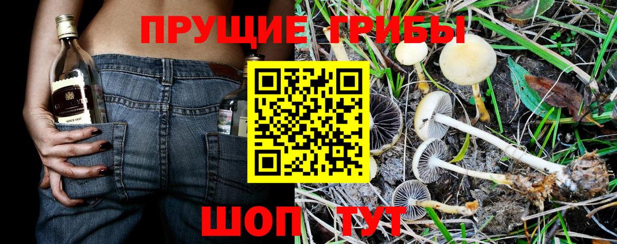 Геленджик  Галлюциногенные грибы мухоморы  Вход с VPN 